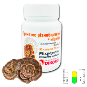 Мікродозинг Immunity Activator (міцелій Trametes) 60 капсул по 0,5 г