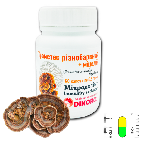 24355250964515_+a82c202b90 Мікродозинг Immunity Activator (міцелій Trametes) 60 капсул по 0,5 г