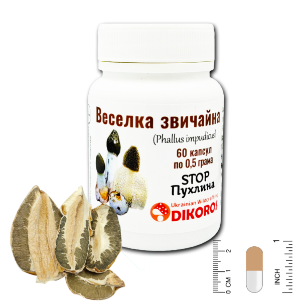 Гриб Веселка (Phallus impudicus) в капсулах