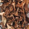 Опеньок осінній справжній (Armillaria mellea (Vahl. ex Fr.) сушений - 100 грам