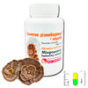 Мікродозинг Immunity Activator (міцелій Trametes) 120 капсул по 0,5 г