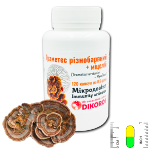 Мікродозинг Immunity Activator (міцелій Trametes) 120 капсул по 0,5 г