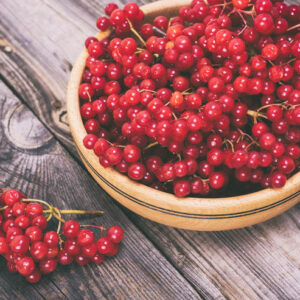 Калина червона (Viburnum opulus) сушена - 100 грам