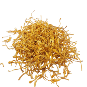 Кордицепс військовий сушений (Cordyceps militaris)