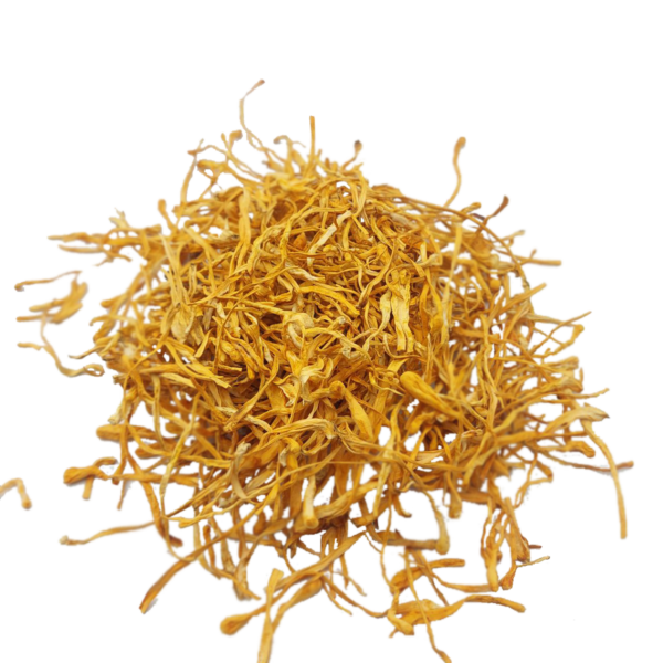 kordytseps-viiskovyi-cordyceps-sushenyi-38291914560317_+766bd186da Кордицепс військовий сушений (Cordyceps militaris)