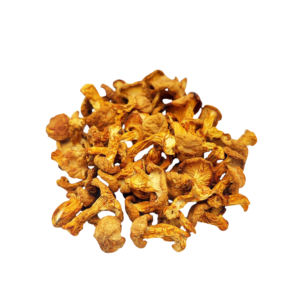Лисичка сушена (Cantharellus cibarius)