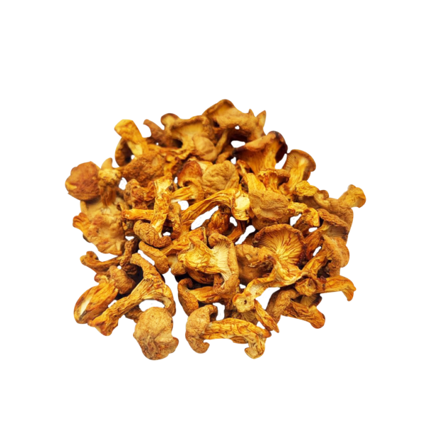Лисичка сушена (Cantharellus cibarius)
