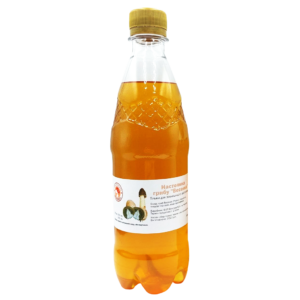 Настоянка Гриба Веселки