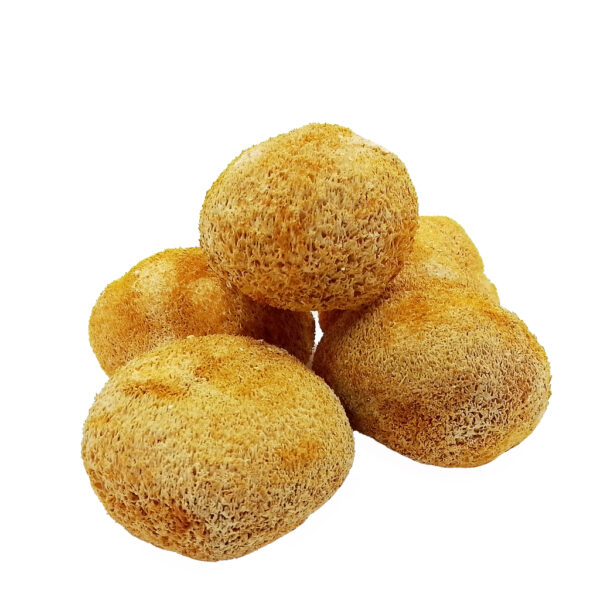 Їжовик гребінчастий сушений (Hericium erinaceus)