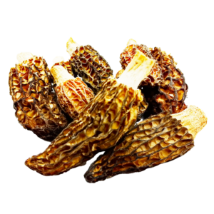 zmorshok-konichnyi-lat.-morchella-conica-sushenyi-1-sort-50-hram-24213525485719_+1d6440db58 Зморшок конічний сушений (Morchella conica)