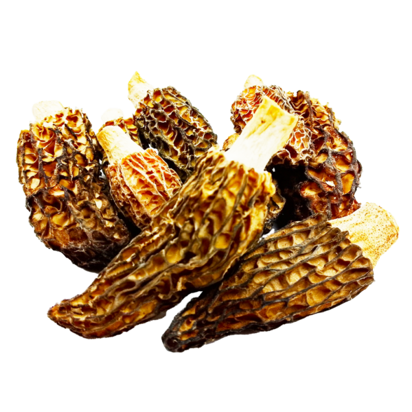 zmorshok-konichnyi-lat.-morchella-conica-sushenyi-1-sort-50-hram-24213525485719_+1d6440db58 Зморшок конічний сушений (Morchella conica)